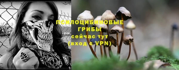 кокаин Дмитриев