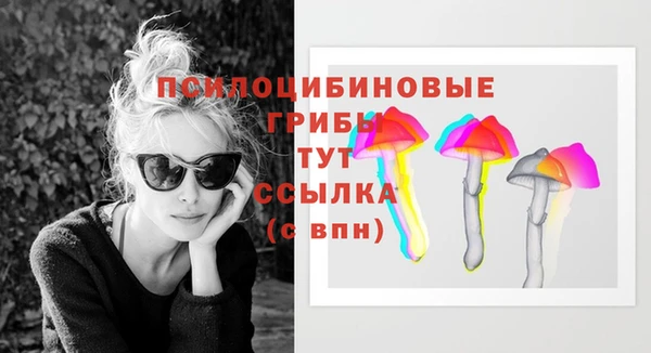 кокаин Дмитриев