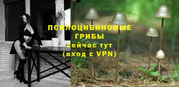 кокаин Дмитриев