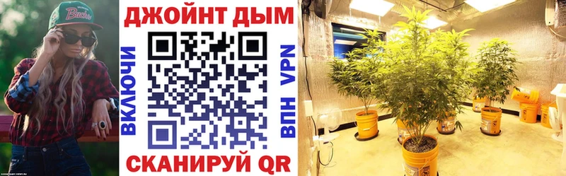 Бошки марихуана OG Kush  гидра как войти  Дмитровск 